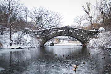 Wall murals Gapstow Bridge Gapstow bridge and duck in the icy lake at Central Park