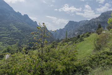 Fototapeta na wymiar By Allende in the peaks of europe, Asturias