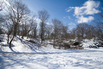 Fototapeta na wymiar shadow on snow and blue sky at Central Park
