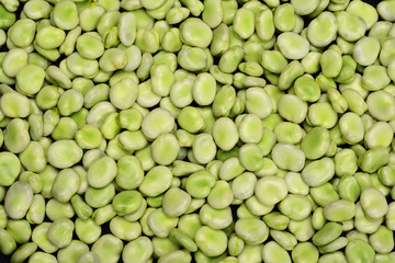 Background of fresh green broad beans.
