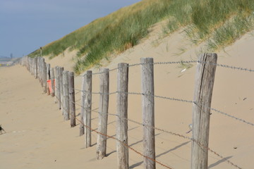 Fence on the beach at Langevelderslag, South-Holland