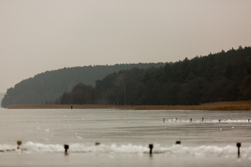 Zamarznięte jezioro na tle drzew  © Leszek