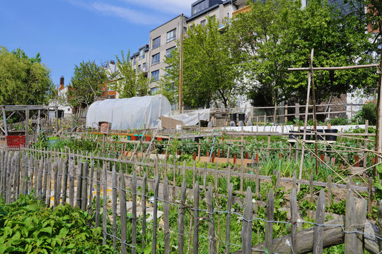 potager urbain particulier &agrave; Bruxelles 