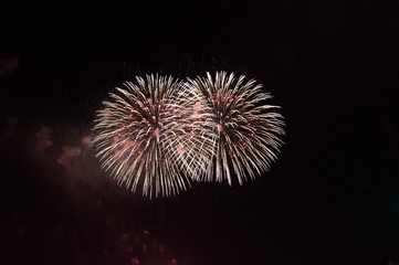 Bright and colorful Firework in front of a dark night sky