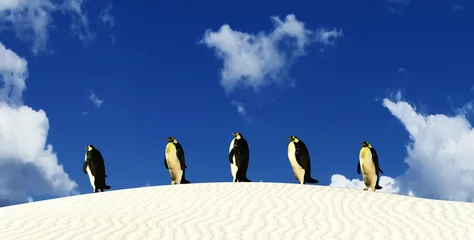 Poster penguins coming out of a desert © juanjo