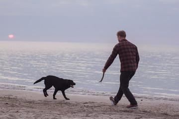 morning walk of the young man and black labrador dog on the beach