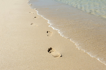 Footprints in the sand