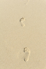 Footprints in the sand