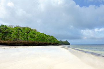 Beach and tropical ocean