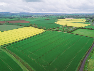 Aerial view of canola and farm fields