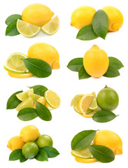 lime and lemon on white background