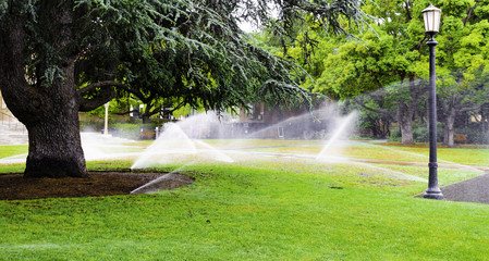 Public Garden in California