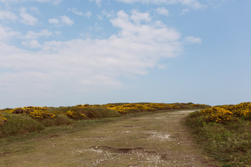 Road walkway nature with blue sky