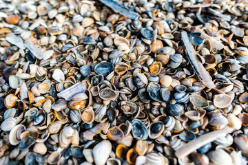 North sea coast