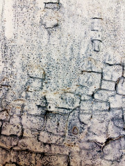 abstract, old, design, background, grunge, vintage, texture, dirty, retro, ancient, damaged, wall, wallpaper, brown, element, antique, style, weathered, crack, aged, rustic, dirt, paint, grungy, rough