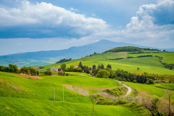 Fototapeta na wymiar Paysage du Val d'Orcia en Toscane