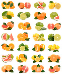 Fruit of citrus
