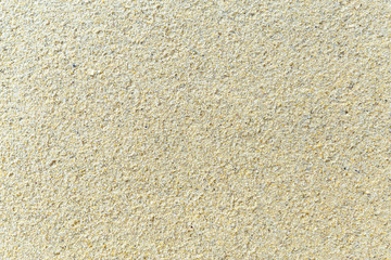 Texture with shell and pebble at wet yellow sand of beach. Vacation background.