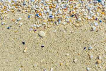 Texture with shell and pebble at wet yellow sand of beach. Vacation background.