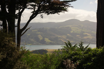 Fototapeta na wymiar Panoramic view, Pacific coast of New Zealand, Otago Peninsula, Dunedin