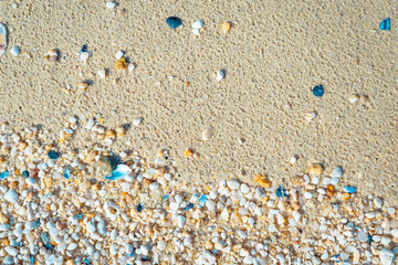 Texture with shell and pebble at wet yellow sand of beach. Vacation background.