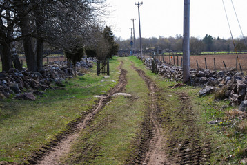 Fototapeta premium Path with tractor tracks
