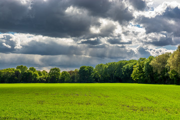 Sonnige Wiese und Wald mit Gewitterwolken