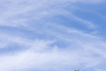 clouds in the blue sky