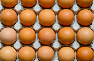 Fresh natural raw chicken eggs