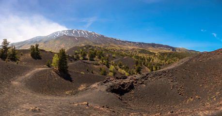 Monti Sartorius -   the eruptive cones of 1865 in the volcano etna