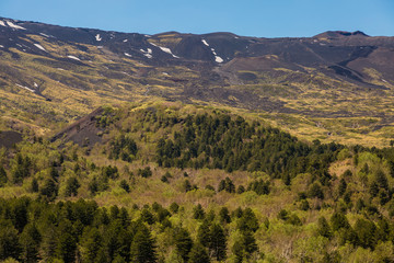 Monti Sartorius -   the eruptive cones of 1865 in the volcano etna