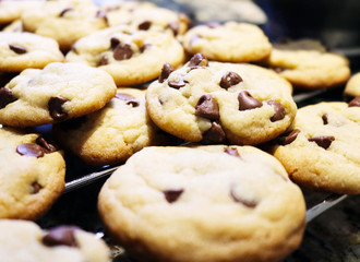 Fresh Baked Chocolate Chip Cookies on a Tray