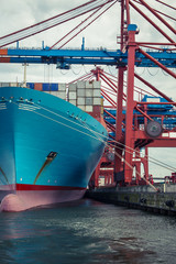 Large container ship being unloaded by container cranes in dock near Hamburg, bow view