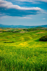 Paysage du Val d'Orcia en Toscane au soleil couchant