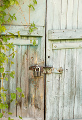 Wooden gates. Ancient gate. Lock on the gate
