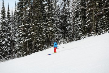 Skier skiing on snow covered mountain slope