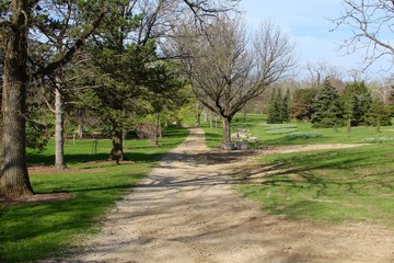 The dirt road of the park landscape.