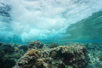 Wave breaking on the reef from underwater, Pacific ocean, Huahine, Society islands, French Polynesia