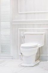 White toilet bowl in a bathroom