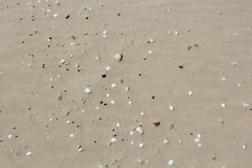 sand beach