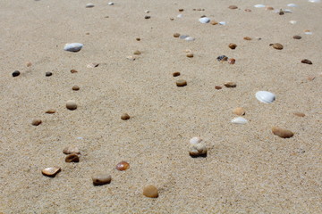 sand beach