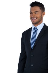Businessman standing against white background