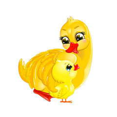 Duck mother and duckling