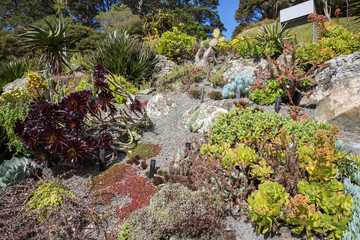 View of Wellington Botanic Garden.
