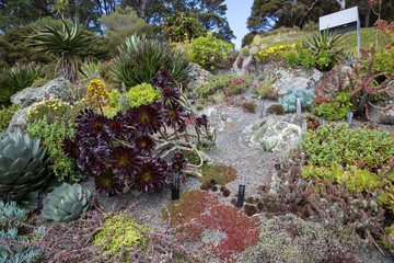 View of Wellington Botanic Garden.