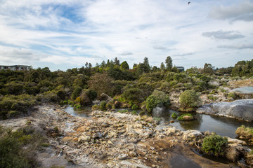 Fototapeta na wymiar View of Te Puia geyser in Rotorua, New Zealand.