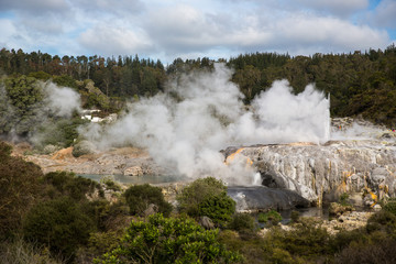 View of Te Puia geyser in Rotorua, New Zealand.