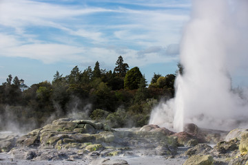 View of Te Puia geyser in Rotorua, New Zealand.