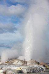 View of Te Puia geyser in Rotorua, New Zealand.