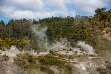 View of Te Puia geyser in Rotorua, New Zealand.